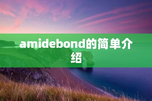 amidebond的简单介绍 amidebond的简单介绍