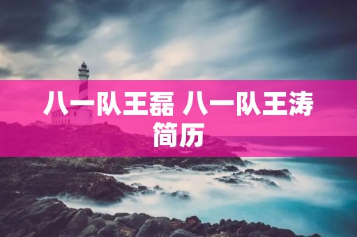 八一队王磊 八一队王涛简历