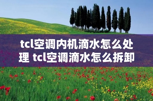 tcl空调内机滴水怎么处理 tcl空调滴水怎么拆卸面板 tcl空调内机滴水怎么处理 tcl空调滴水怎么拆卸面板