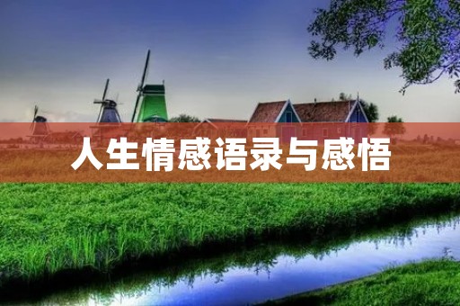 人生情感语录与感悟:探寻内心深处的真实感受