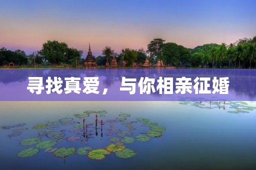 寻找真爱，与你相亲征婚