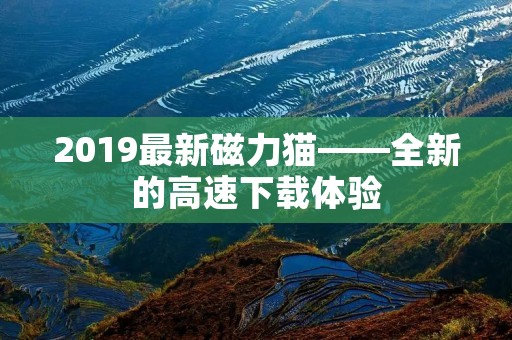 2019最新磁力猫——全新的高速下载体验