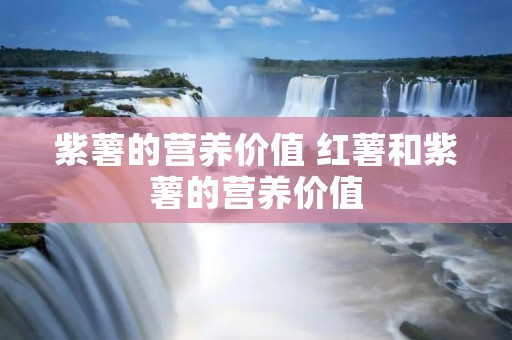 紫薯的营养价值 红薯和紫薯的营养价值