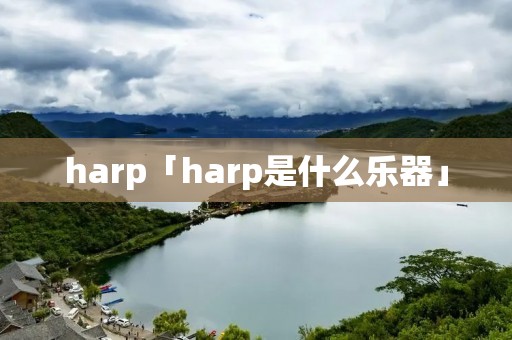 harp「harp是什么乐器」