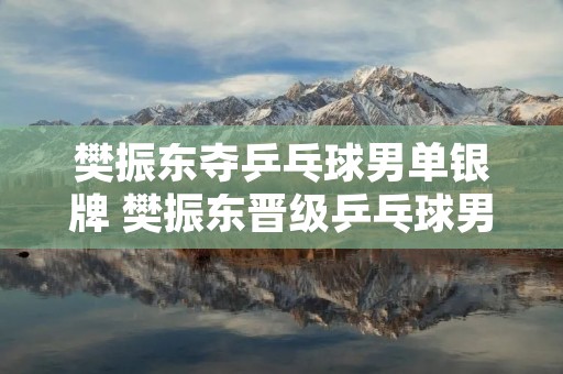 樊振东夺乒乓球男单银牌 樊振东晋级乒乓球男单