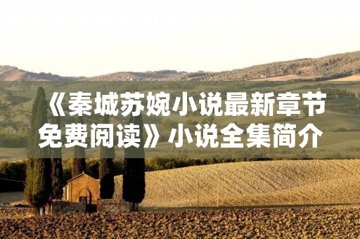 《秦城苏婉小说最新章节免费阅读》小说全集简介