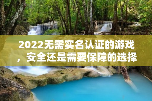 2022无需实名认证的游戏,安全还是需要保障的选择? 2022无需实名认证的游戏,安全还是需要保障的选择?