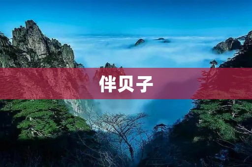 伴贝子：开启全新游戏社交体验