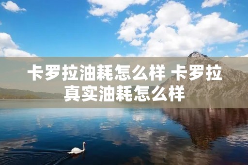 卡罗拉油耗怎么样 卡罗拉真实油耗怎么样 卡罗拉油耗怎么样 卡罗拉真实油耗怎么样