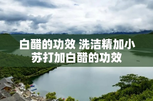 白醋的功效 洗洁精加小苏打加白醋的功效
