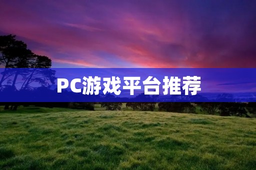 PC游戏平台推荐:让你畅玩各种游戏的必备工具