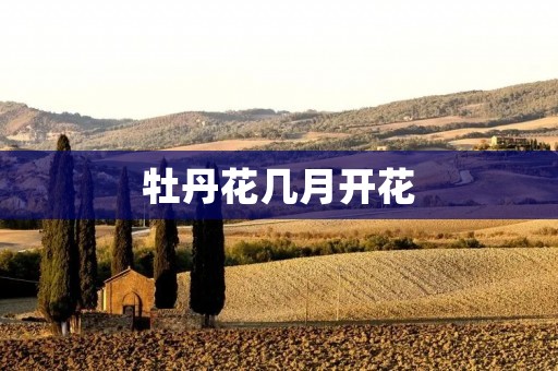 牡丹花几月开花:揭秘牡丹花的盛放时节 牡丹花几月开花:揭秘牡丹花的盛放时节