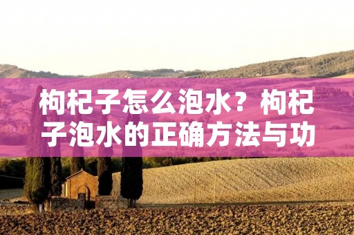 枸杞子怎么泡水?枸杞子泡水的正确方法与功效