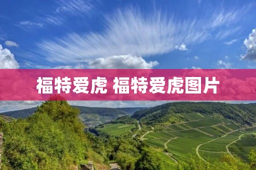 福特爱虎 福特爱虎图片