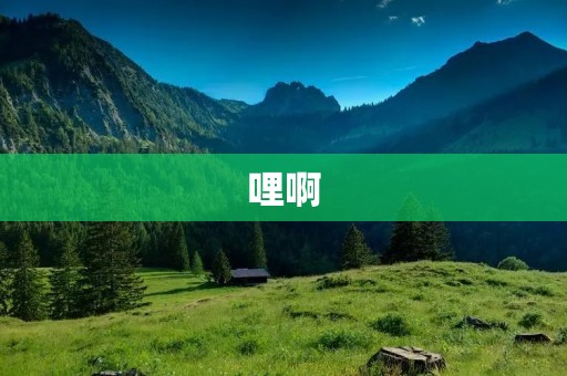 哩啊：开启潮流新纪元的时尚指南