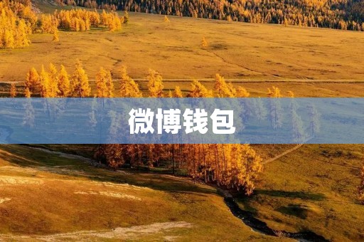 微博钱包:打造全面便捷的移动支付工具 微博钱包:打造全面便捷的移动支付工具