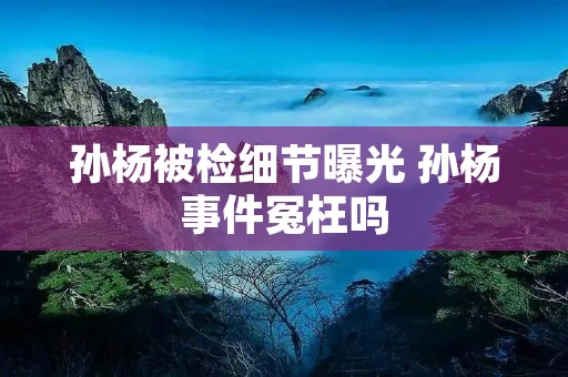 孙杨被检细节曝光 孙杨事件冤枉吗 孙杨被检细节曝光 孙杨事件冤枉吗