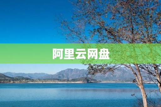 阿里云网盘：高效便捷的云存储服务