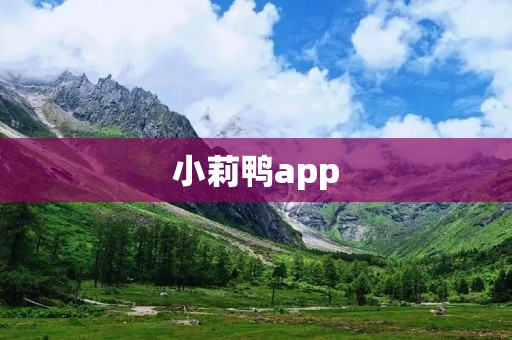 小莉鸭app:拥抱互联网时代的智能餐饮新选择 小莉鸭app:拥抱互联网时代的智能餐饮新选择
