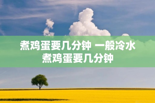 煮鸡蛋要几分钟 一般冷水煮鸡蛋要几分钟