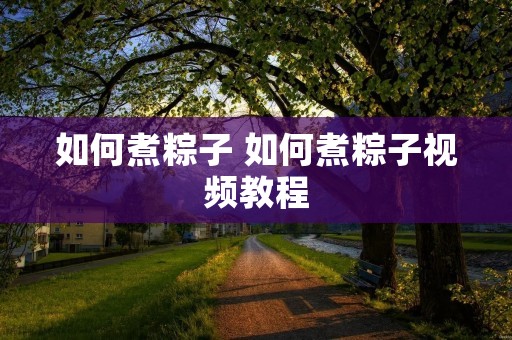 如何煮粽子 如何煮粽子视频教程