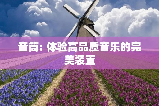 音筒: 体验高品质音乐的完美装置 音筒: 体验高品质音乐的完美装置