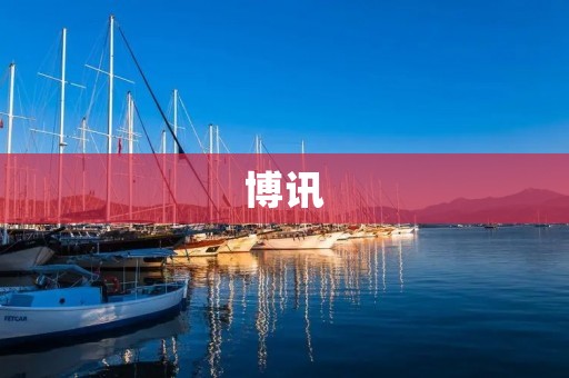 博讯:中国民间独立媒体的象征 博讯:中国民间独立媒体的象征