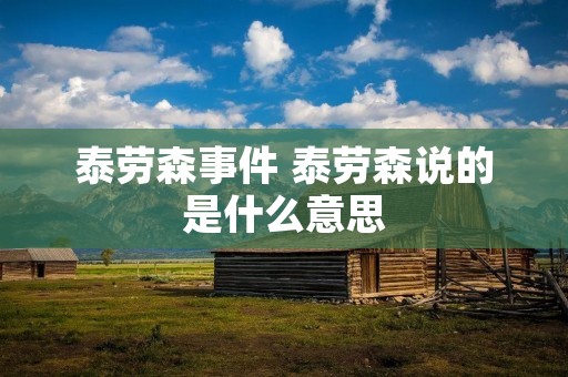 泰劳森事件 泰劳森说的是什么意思