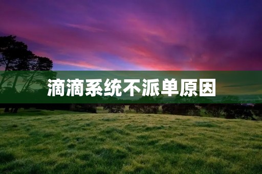 滴滴系统不派单原因：探究背后的原因及解决方案
