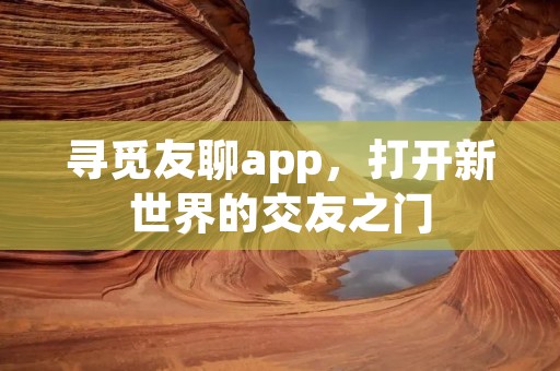 寻觅友聊app，打开新世界的交友之门