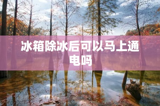 冰箱除冰后可以马上通电吗