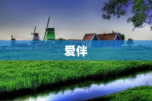 爱伴：为你带来真挚的陪伴与温暖
