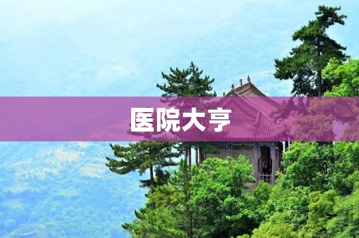 医院大亨：揭秘医疗产业背后的利益游戏