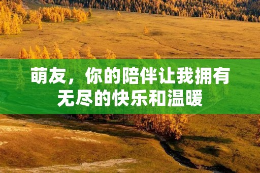 萌友，你的陪伴让我拥有无尽的快乐和温暖