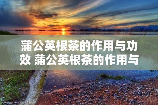 蒲公英根茶的作用与功效 蒲公英根茶的作用与功效百度百科