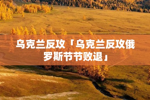 乌克兰反攻「乌克兰反攻俄罗斯节节败退」