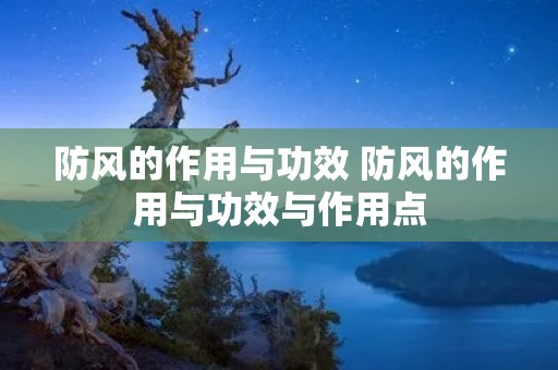 防风的作用与功效 防风的作用与功效与作用点