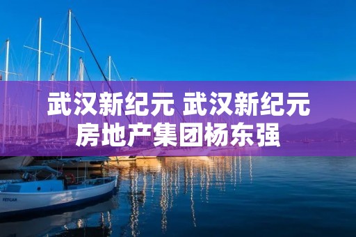 武汉新纪元 武汉新纪元房地产集团杨东强