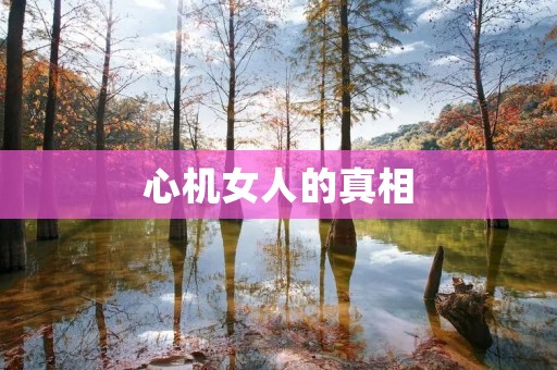 心机女人的真相
