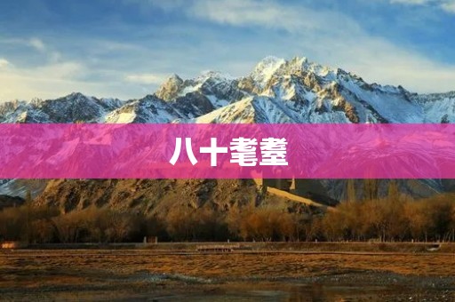 八十耄耋:见证岁月沧桑的智慧长河