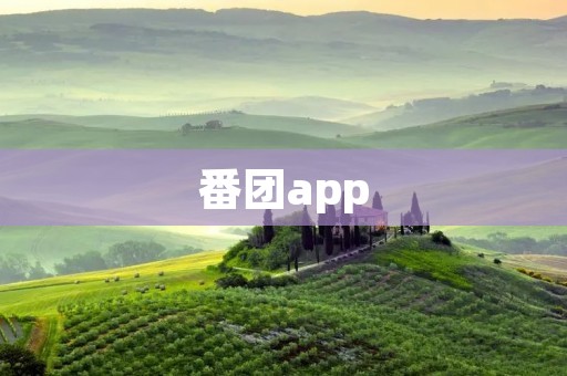 番团app:一款全新的演出票务平台,让您畅享精彩演出 番团app:一款全新的演出票务平台,让您畅享精彩演出