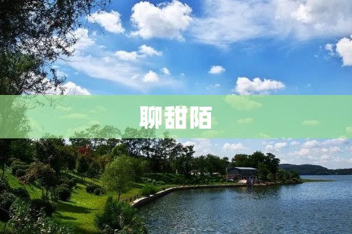 聊甜陌：探索甜蜜的陌生人世界