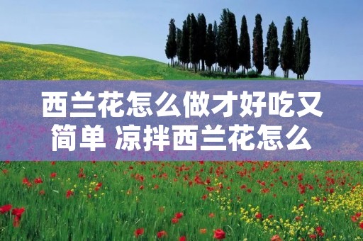 西兰花怎么做才好吃又简单 凉拌西兰花怎么做才好吃又简单