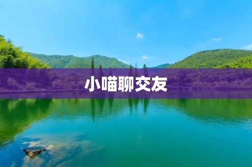 小喵聊交友:寻找志同道合的小伙伴,共同探索人生的乐趣和快乐 小喵聊交友:寻找志同道合的小伙伴,共同探索人生的乐趣和快乐