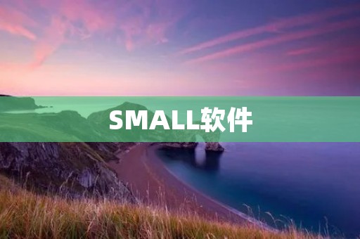 SMALL软件：提升效率的小工具