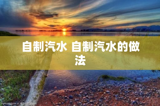 自制汽水 自制汽水的做法