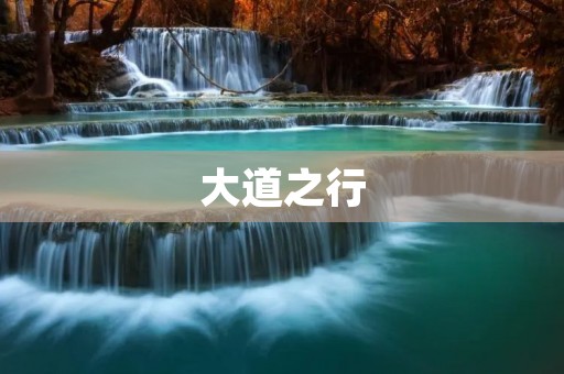 大道之行:探寻人类前行的方向
