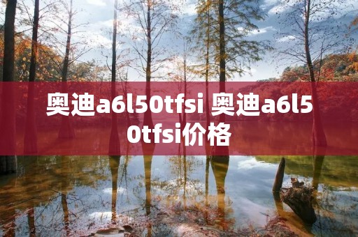 奥迪a6l50tfsi 奥迪a6l50tfsi价格