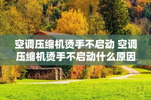 空调压缩机烫手不启动 空调压缩机烫手不启动什么原因
