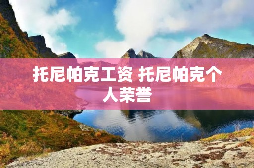 托尼帕克工资 托尼帕克个人荣誉
